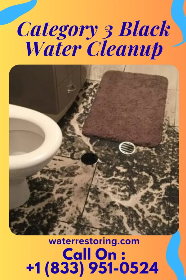 Category 3 Black Water Cleanup in East Laurinburg, NC