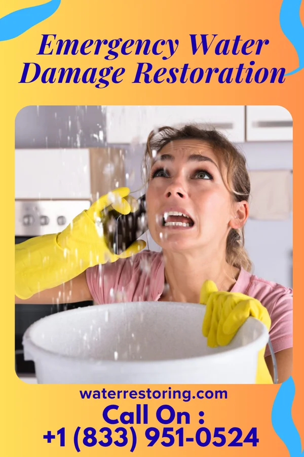 Emergency Water Damage Restoration in East Laurinburg, NC