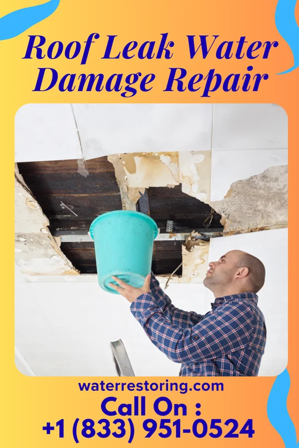 Roof Leak Water Damage Repair in East Laurinburg, NC